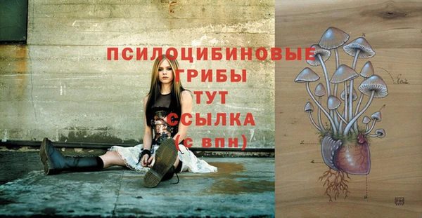 мдпв Белоозёрский