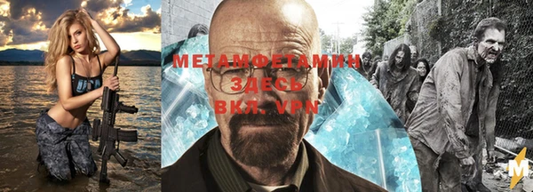 прущие грибы Белокуриха