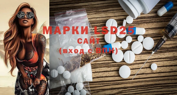 прущие грибы Белокуриха
