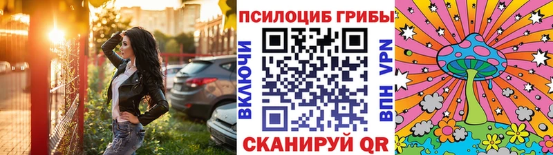ссылка на мегу как войти Шатура Галлюциногенные грибы мицелий