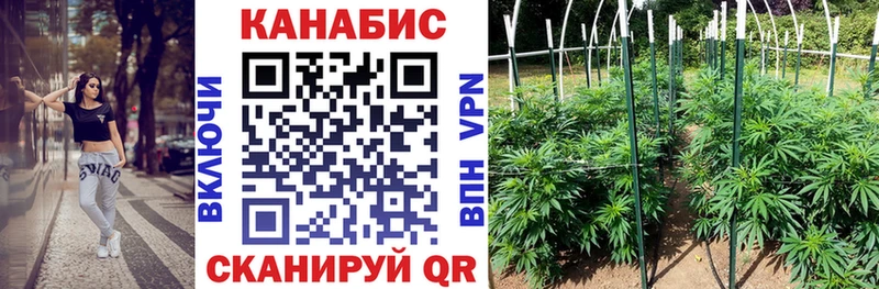 Бошки Шишки Bruce Banner продажа наркотиков это телеграм Шатура